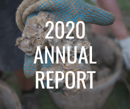 2020 Annual Report