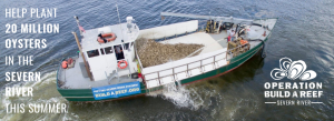 Overhead view of boat planting oysters