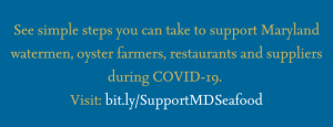 Support MD Seafood during COVID-19