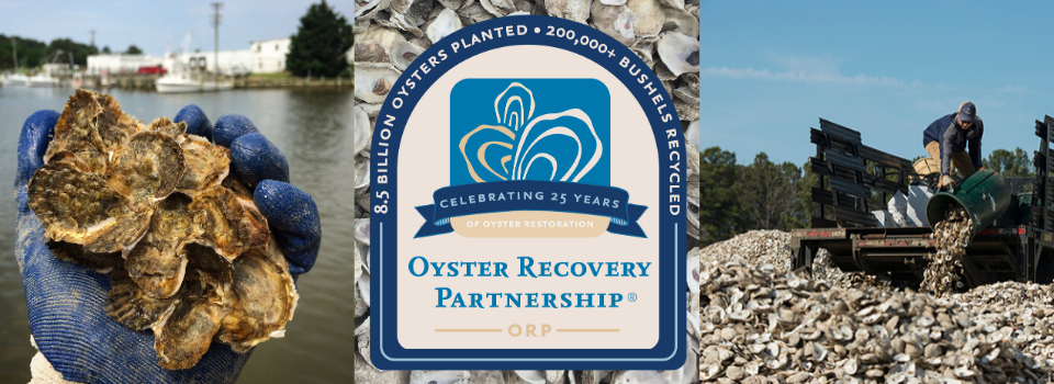 Oyster Recovery Partnershipcelebrating 25 Years Of Oyster Recovery Oyster Recovery Partnership 