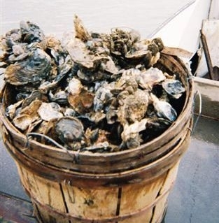 Bushel of Oysters and Crabs(1)