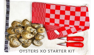 oysters xo starter kit 2