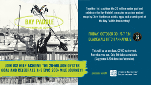 Bay Paddle Celebration Event Header