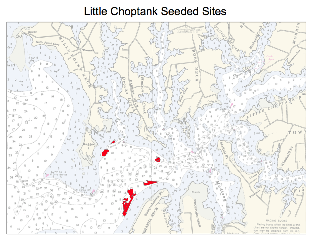 Little Choptank Seeded Sites