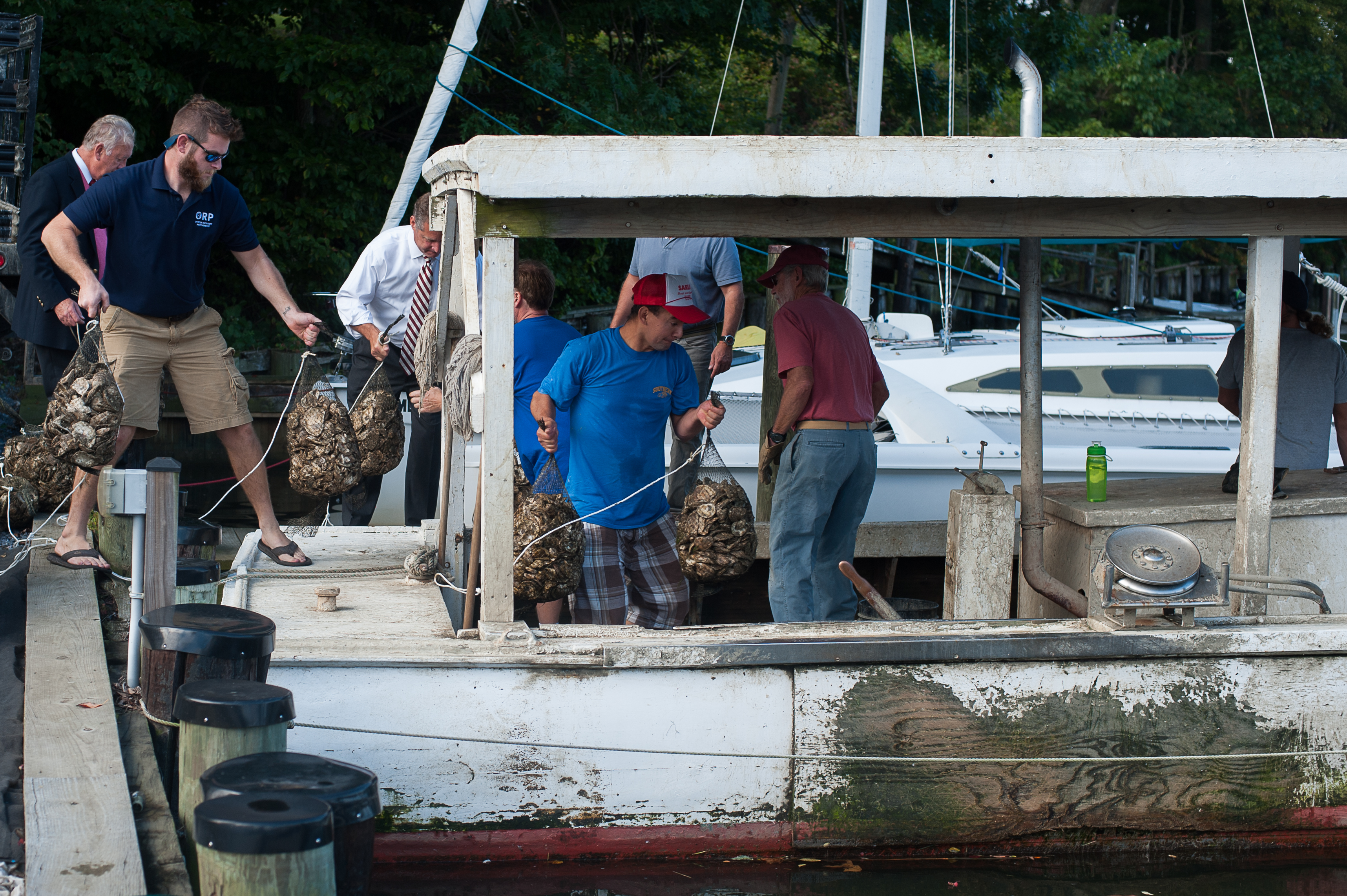 Final Call for Marylanders Grow Oysters Program