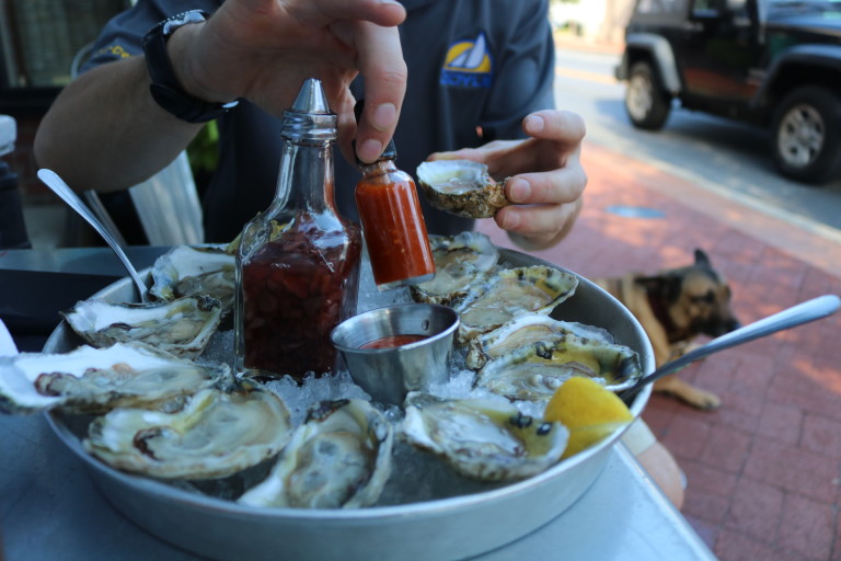 oyster spat on shell sales