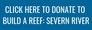 CLICK HERE TO DONATE TO BUILD A REEF_ SEVERN RIVER