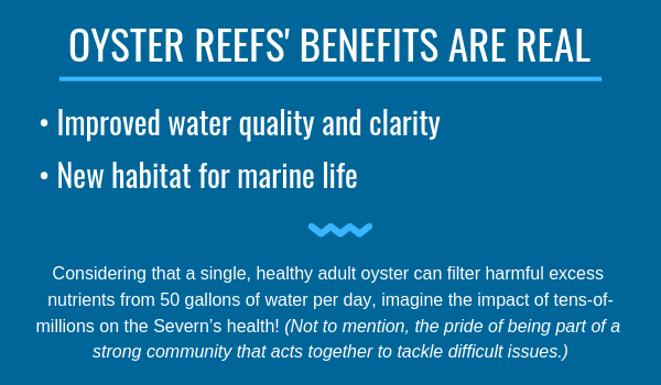 OYSTERS REEFS’ BENEFITS ARE REAL