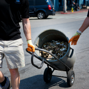 Oyster shell recycling. Oyster shells in trash can on dolly.