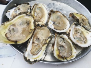 Chesapeake Bay Oysters on the half shell