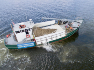 Vessel planting oysters in the Severn River near Annapolis, MD. Operation Build-a-Reef is back for 2021 with the goal to plant 20 million oysters.