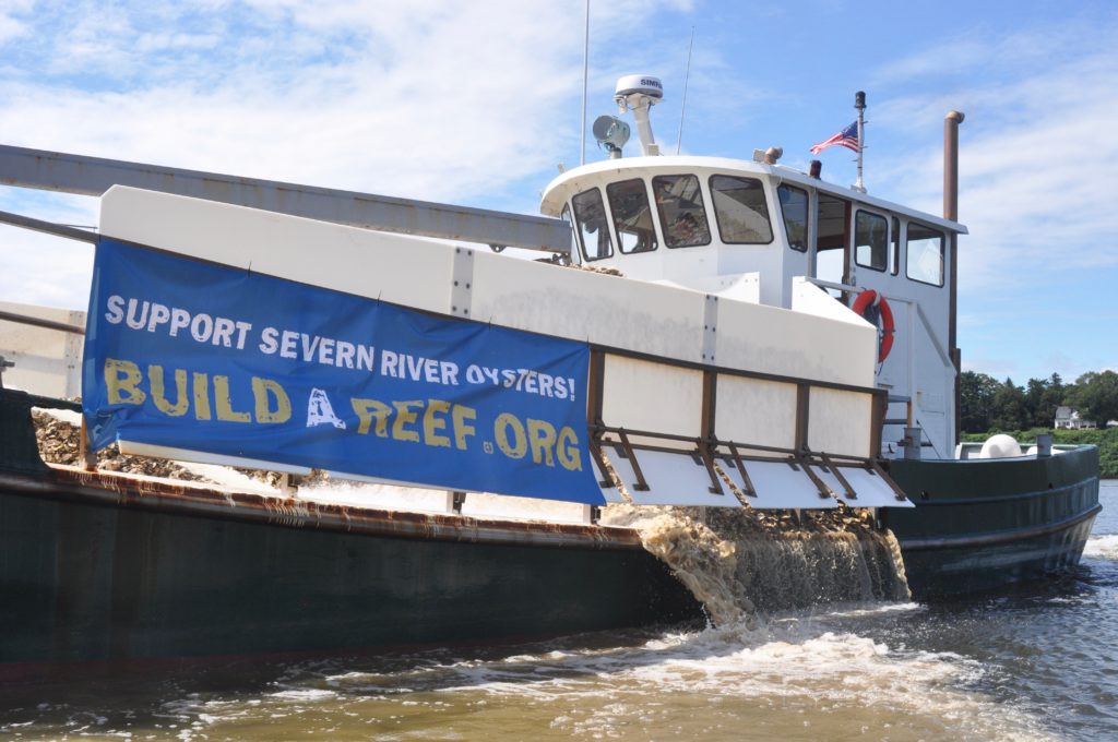 Oysters and water run through the side of the Build a Reef planting vessel on Friday, August 20, 2021