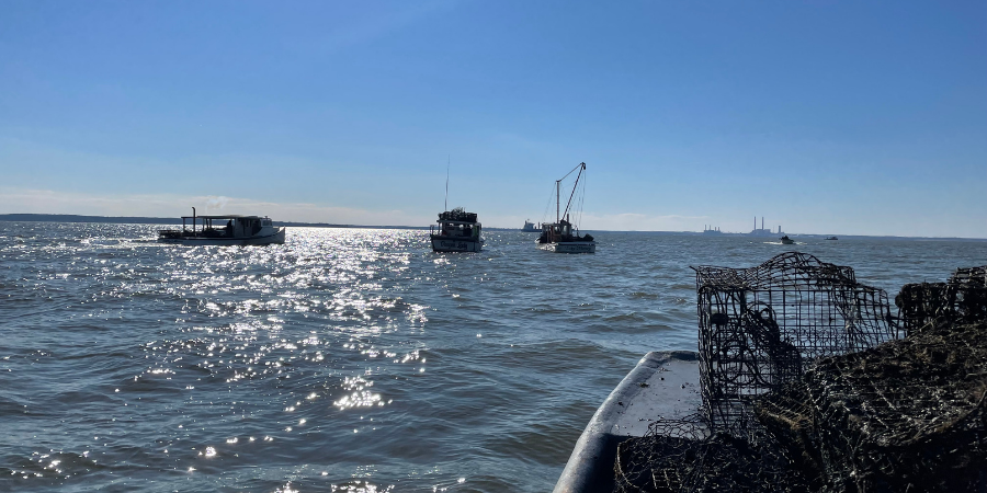 ORP Assists Baltimore County in Removing Thousands of Derelict Crab Pots from Chesapeake Bay