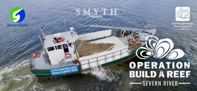 Operation Build a Reef: Severn River Plants 30 Million Oysters!