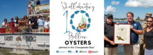 Gov Hogan and ORP Exec Dir Ward Slacum plant 10 billionth oyster in Chesapeake Bay