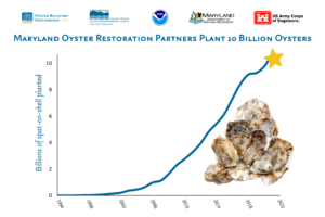Graph showing 10 billion cumulative oyster plantings 1994-2022