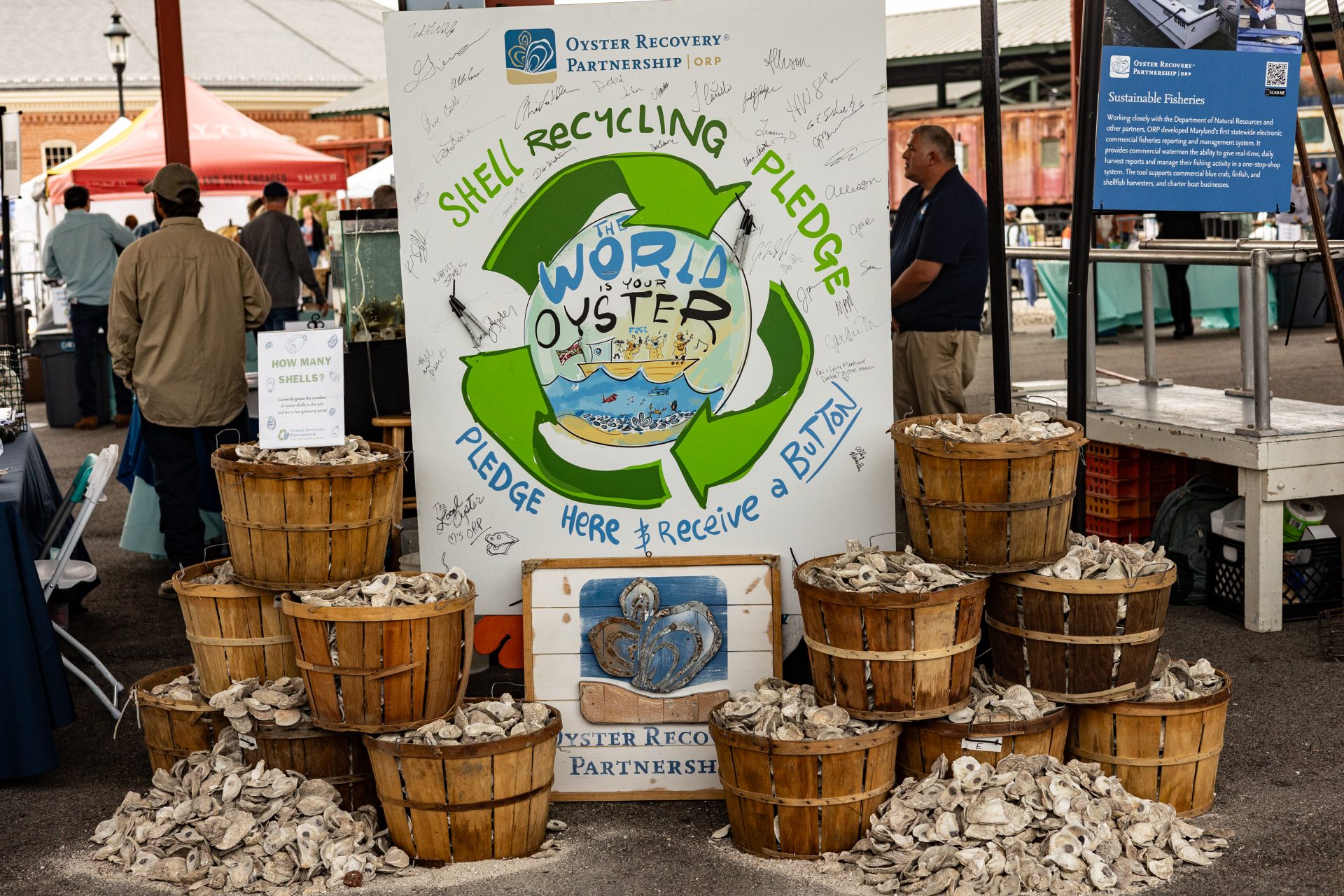 Shell recycling pledge surrounded by baskets full of oystrer shells