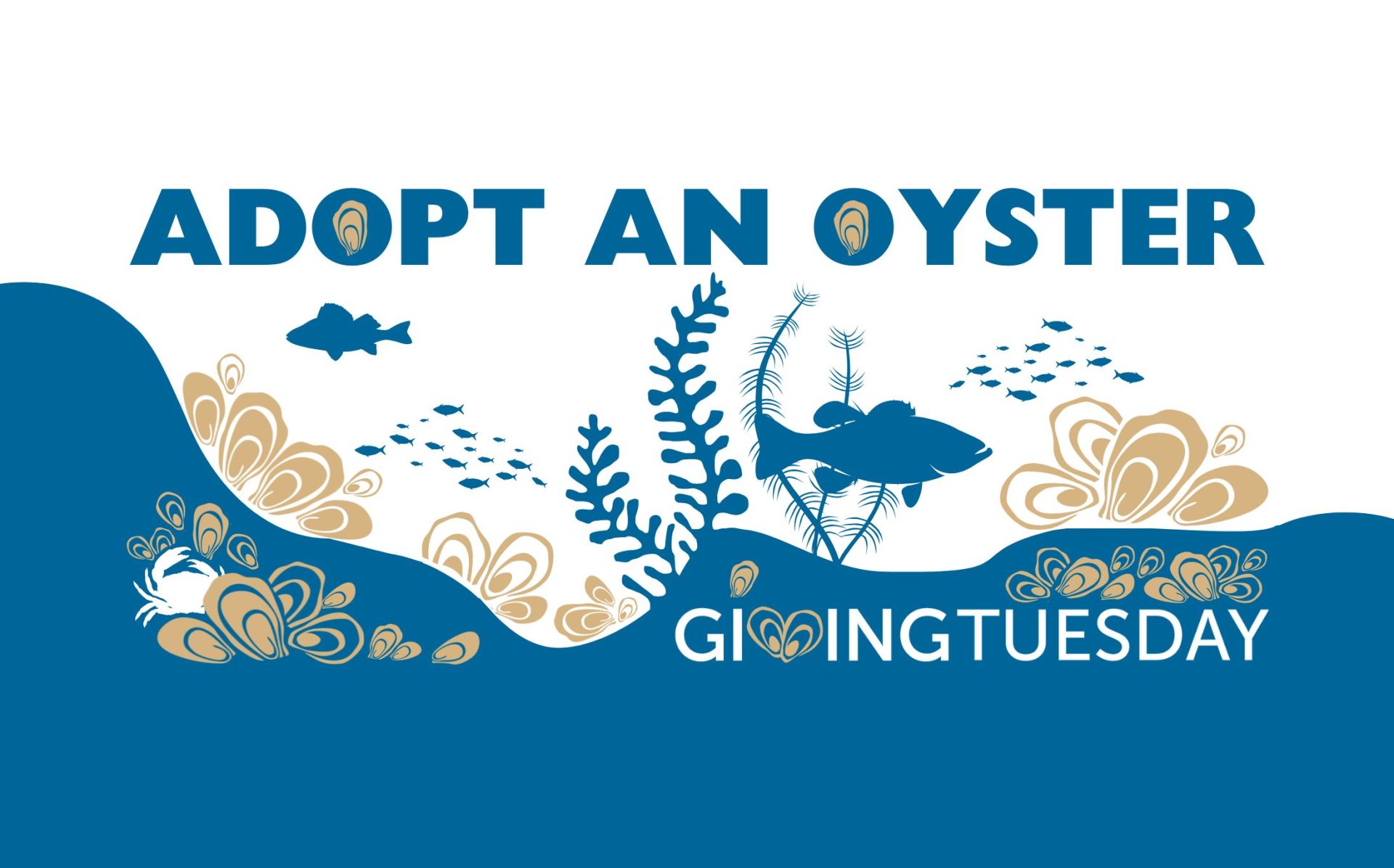 Adopt an Oyster - GivingTuesday 2024