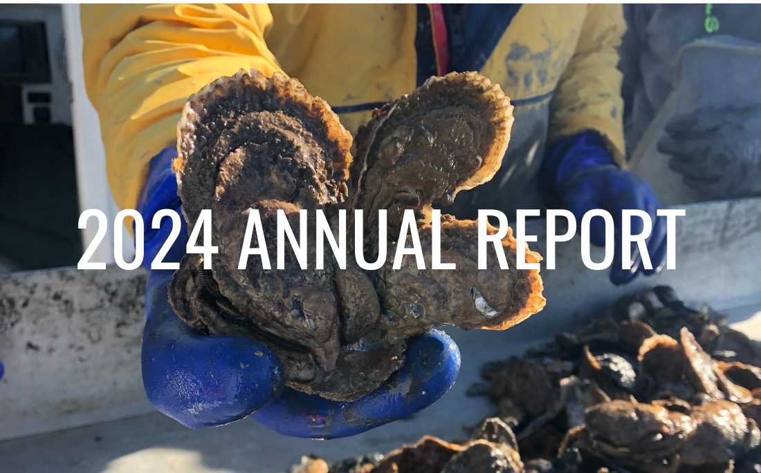 2024 Annual Report