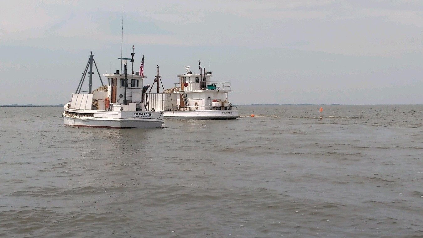 Planting vessels Columbia and Bivalve planting shell for bottom enhancement in spring 2024.