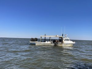 Watermen pulling a hooked derelict crab pot onboard their vessel during ORP's 2022 cleanup efforts in Baltimore County, Maryland. 