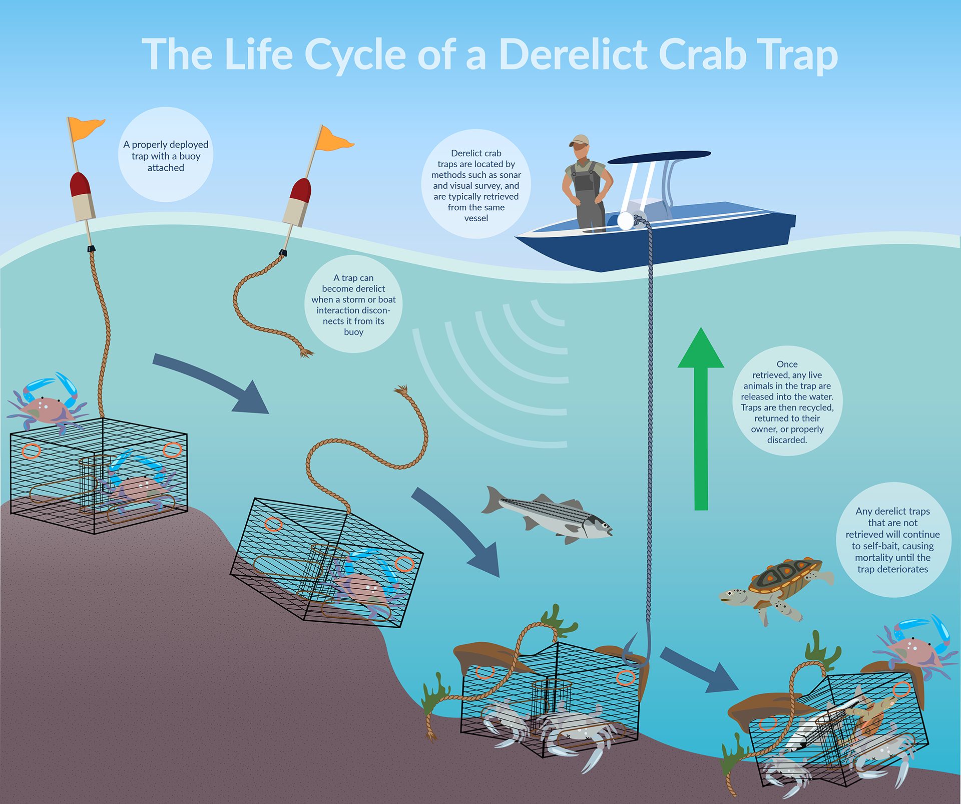 Derelict FIshing Gear Lifecycle