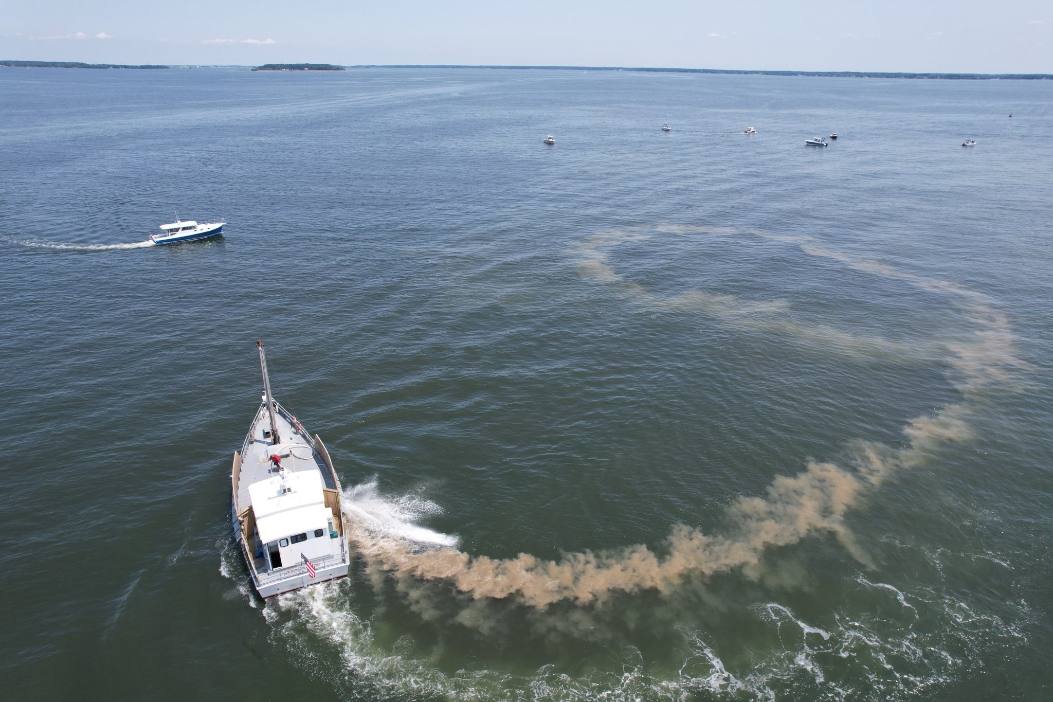 18 Million Oysters Planted In Eastern Bay Oyster Recovery Partnership 