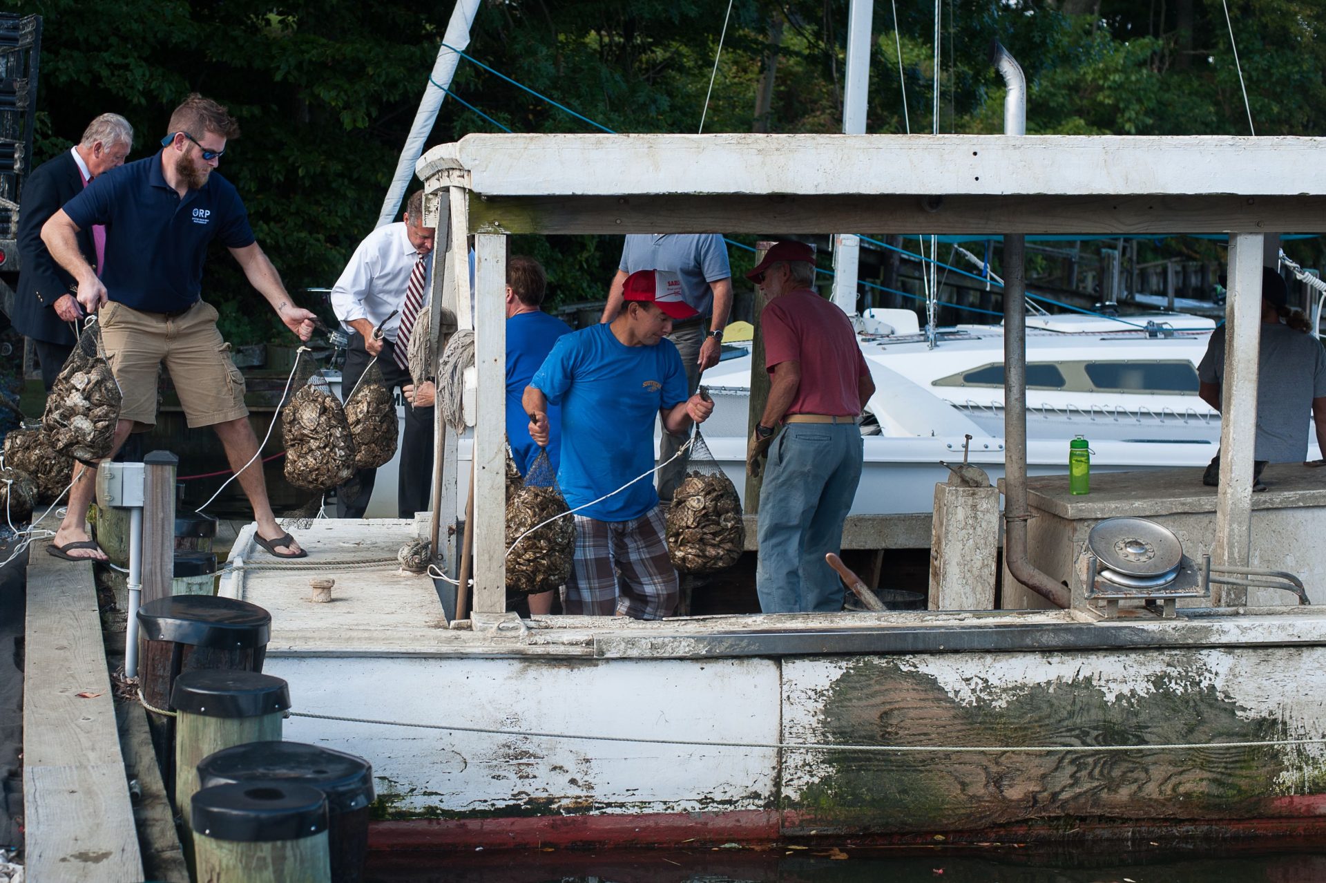 Marylanders Grow Oysters Oyster Recovery Partnership 